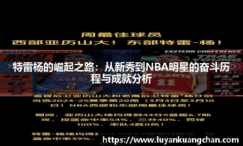 特雷杨的崛起之路：从新秀到NBA明星的奋斗历程与成就分析